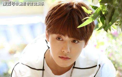 娱乐吃瓜君马天宇,娱乐圈的“吃瓜”达人,揭秘明星幕后故事